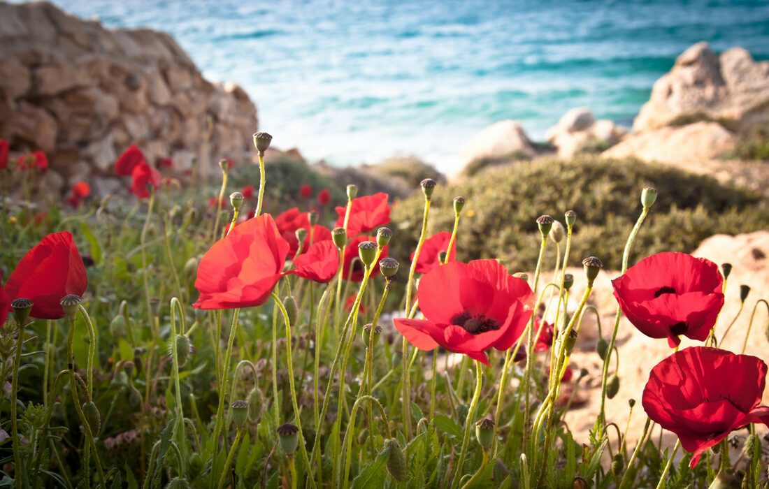 Mikonos, putovanja zrakoplovom, Mondo travel, europska putovanja, garantirani polazak