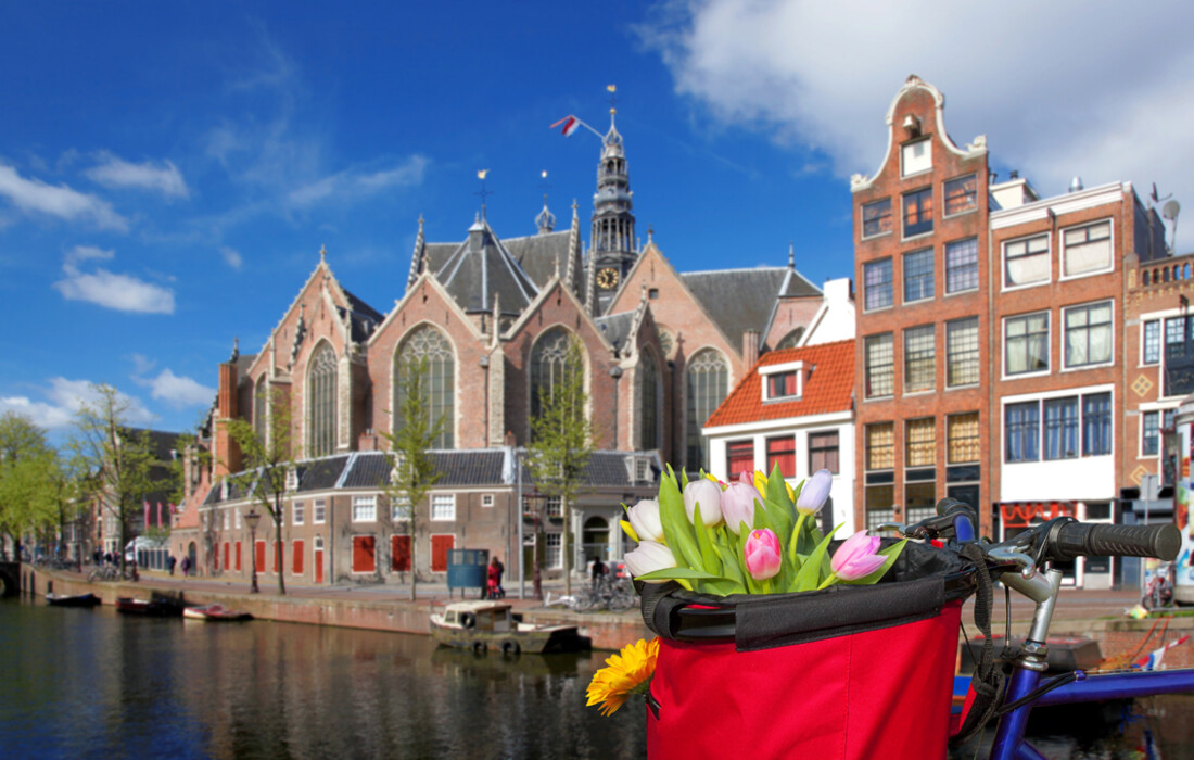 Amsterdam, tulipani