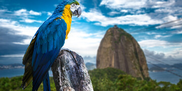 Brazil putovanje, Rio de Janeiro putovanje mondo, daleka putovanja, grupni polasci