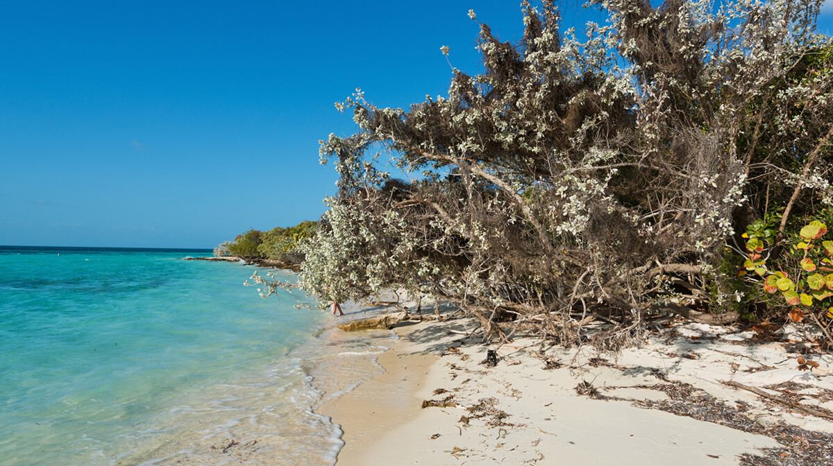 Bahami, Coco Cay