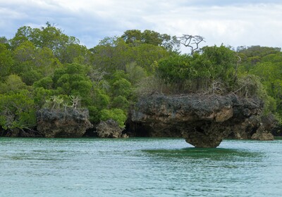 Zanzibarm, Menai Bay