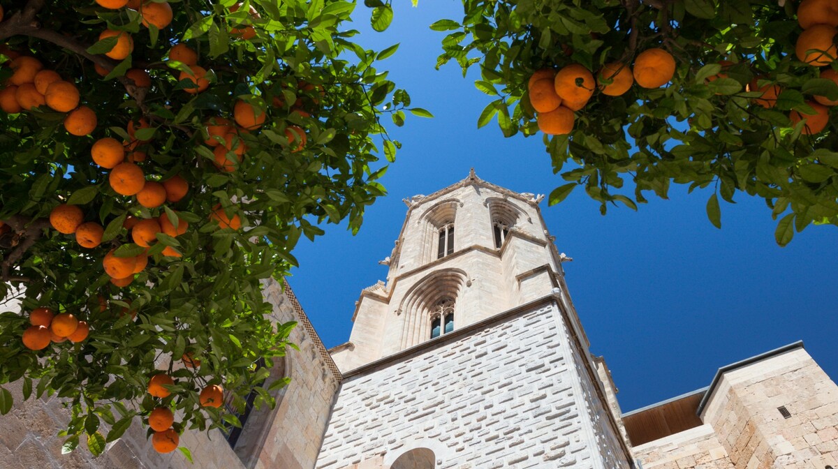 valencija, loža svile, putovanje mondo travel