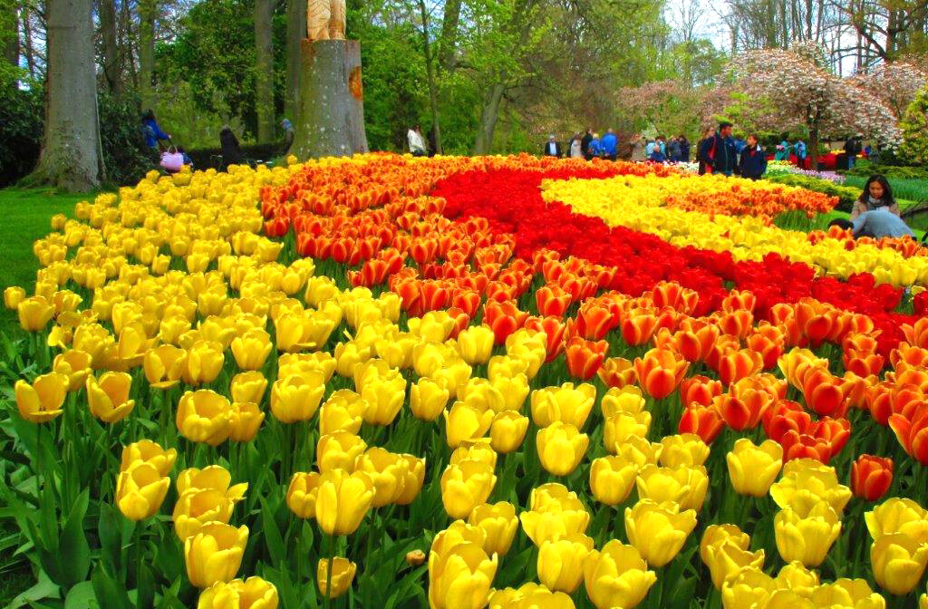 Keukenhof