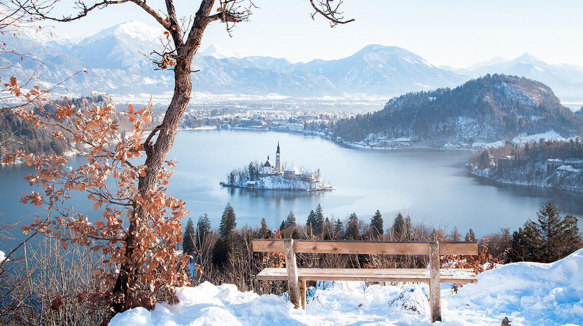 Bled, zima