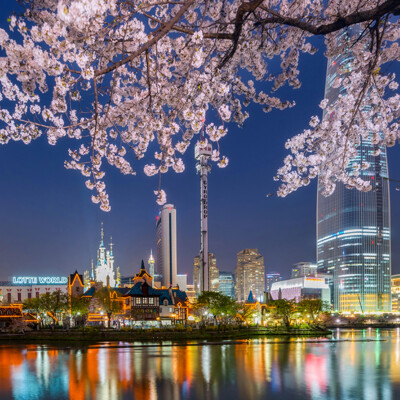 Južna Koreja, Seoul, Lotte World amusement park