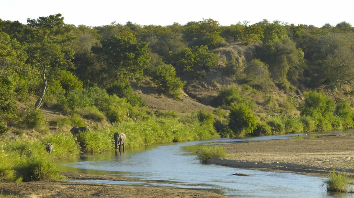 Južna Afrika - rijeka Letaba