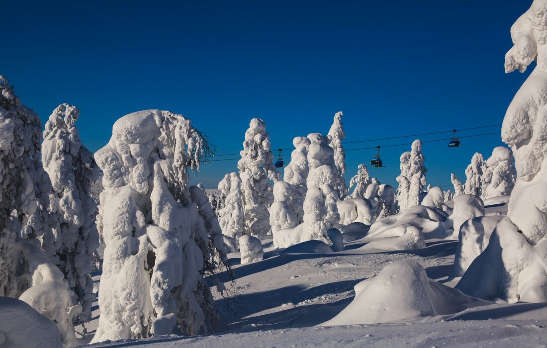 Dolomiti