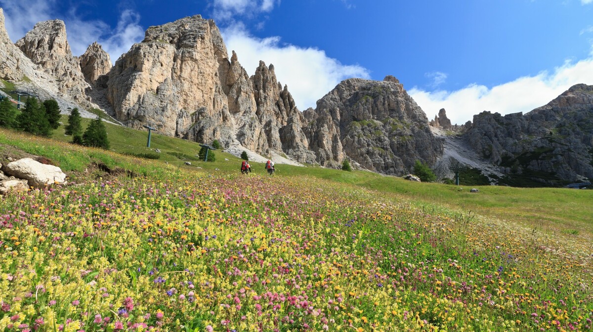 Dolomiti