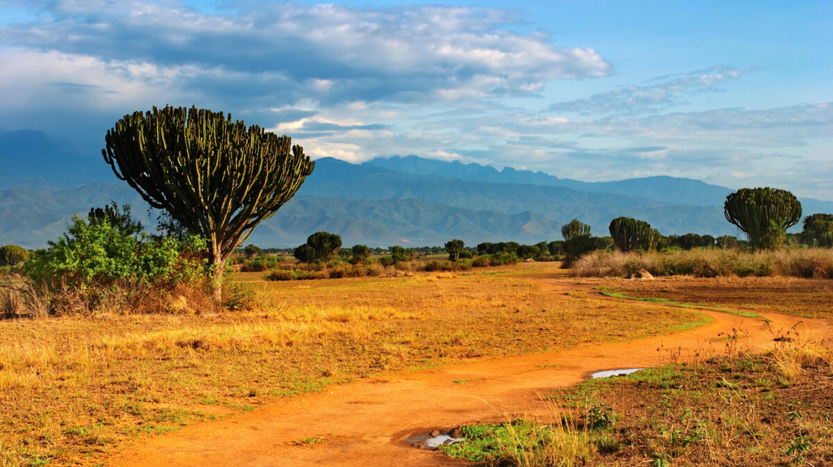 Uganda, Nacionalni park kraljice Elizabete, Afrička savana