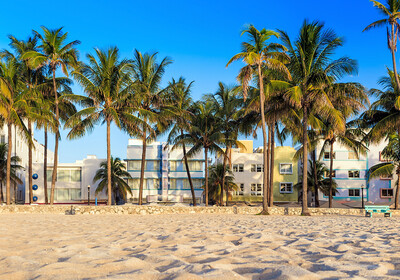 Palme na pješčanoj plaži, Miami beach, putovanje Florida, daleka putovanja, garantirani polasci