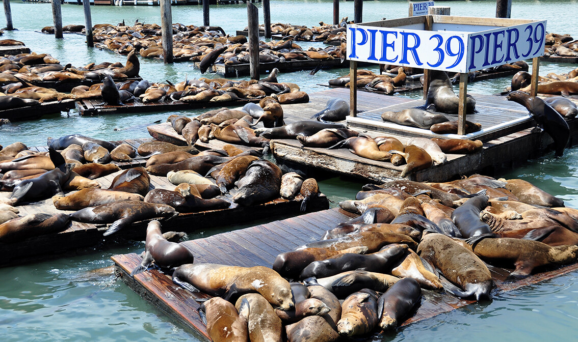 San Francisco putovanje, mondo travel, grupni polasci za SAD, ture po zapadnoj Americi