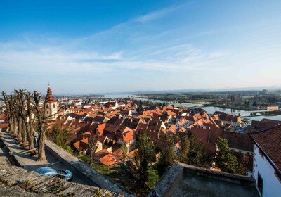 Ptuj panorama_JR_Marec 2017