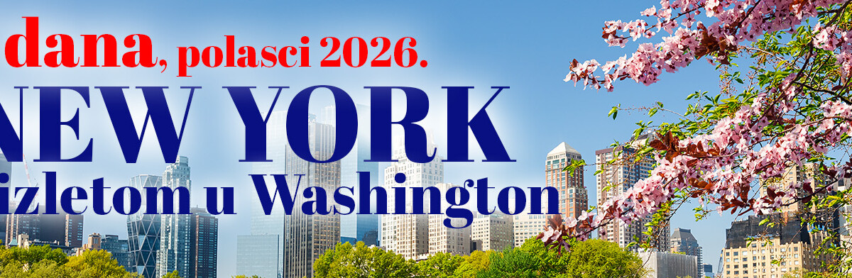 NEW YORK banner 7 dana