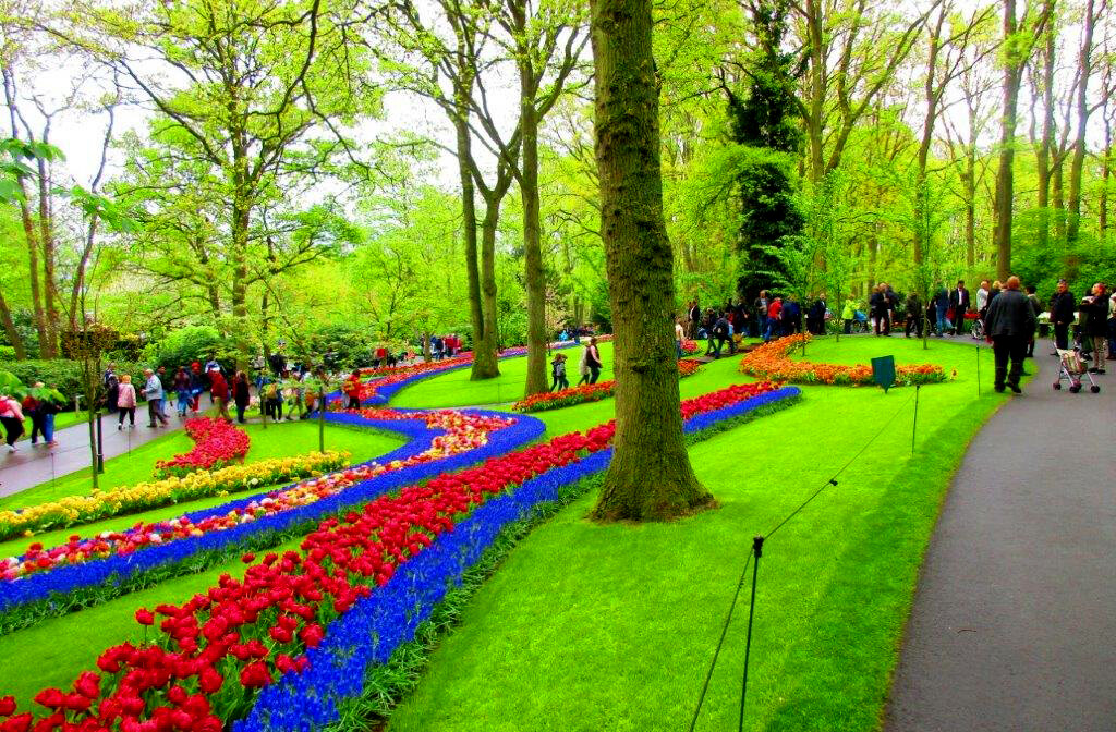 Keukenhof