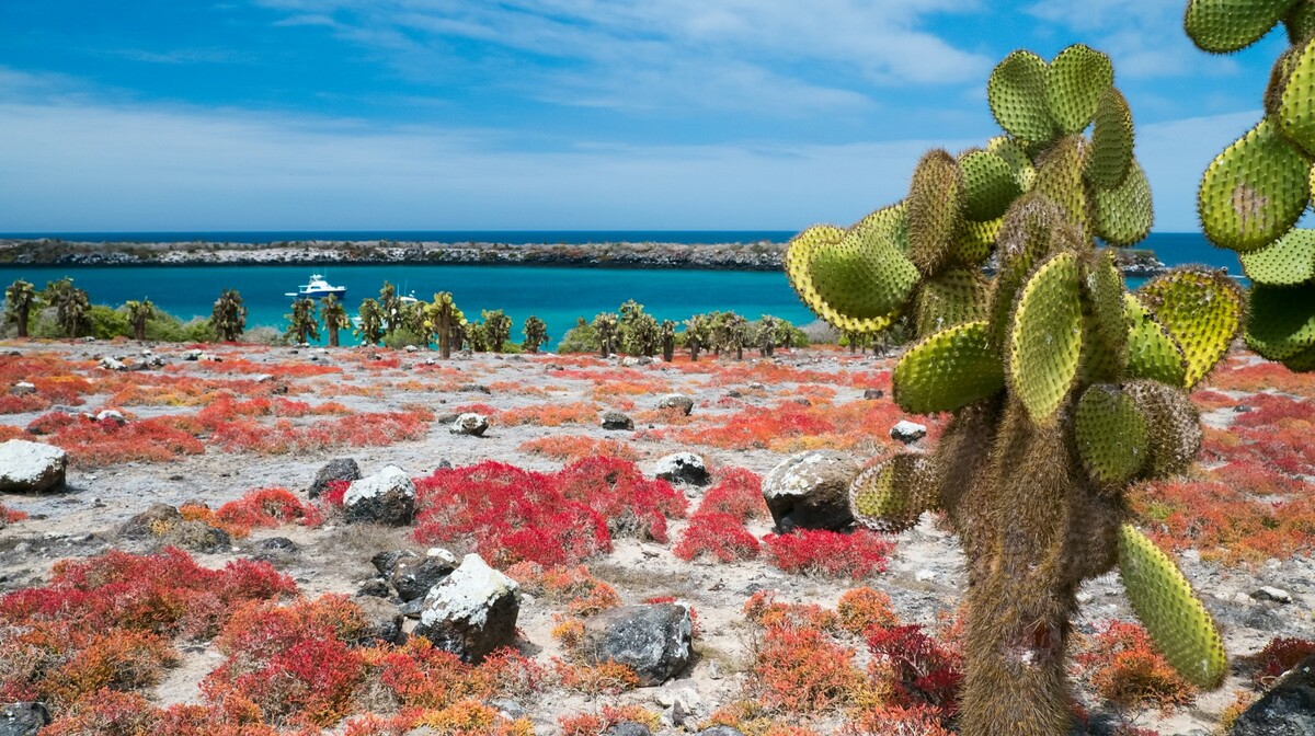 Putovanje Galapagos, garantirani polasci, mondo travel