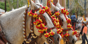 Festival konja, Jerez de la Frontera, putovanje u Andaluziju, garantirani polasci, putovanje avionom