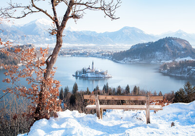 Bled, zima