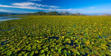 skadarsko jezero, Crna Gora, putovanje autobusom, mondo travel