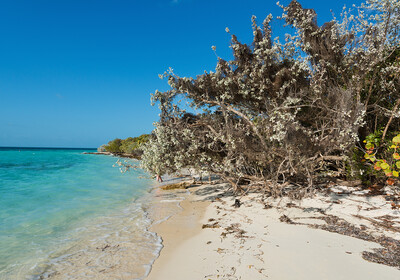 Bahami, Coco Cay