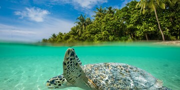 Zanzibar, mondo travel, daleka putovanja