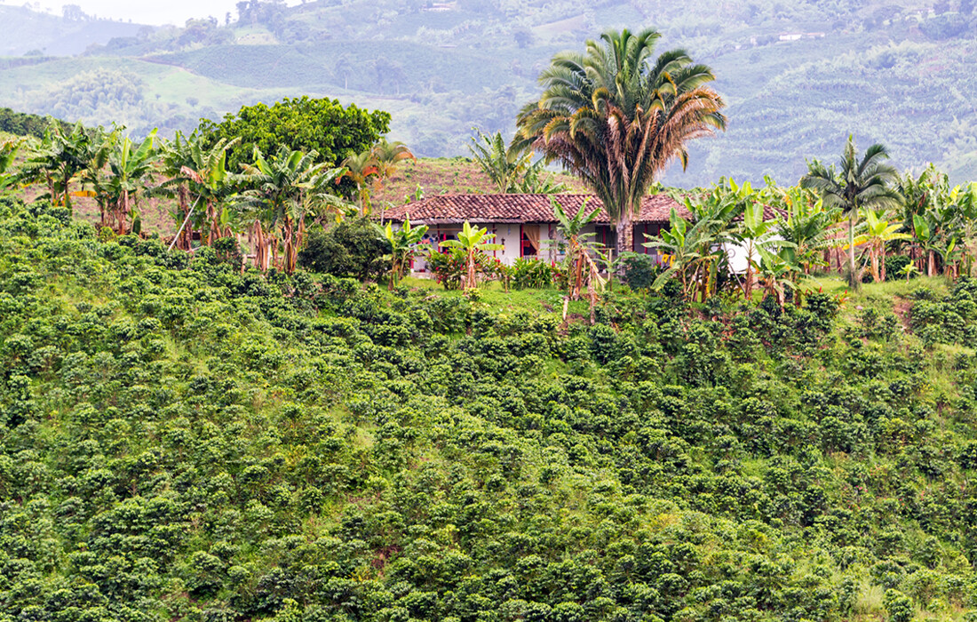 Kolumbija, garantirani polasci,  mondo travel