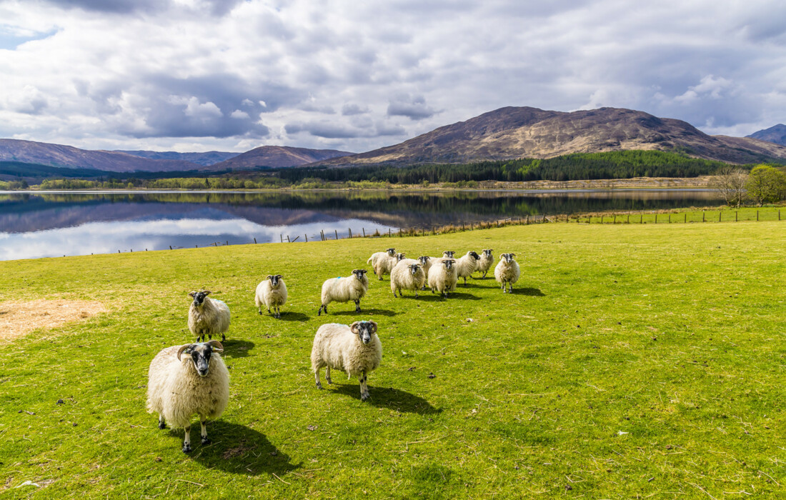 Škotska - jezero Loch Eil u blizini Fort Williama