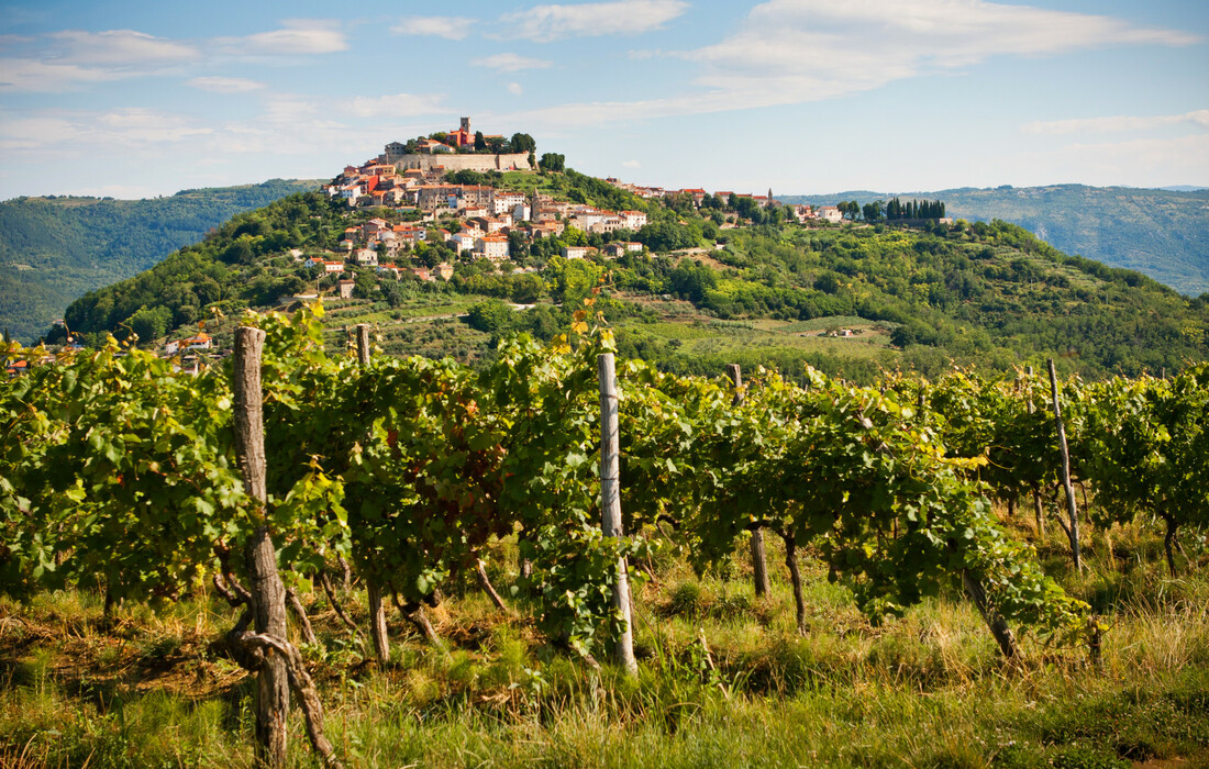 Motovun