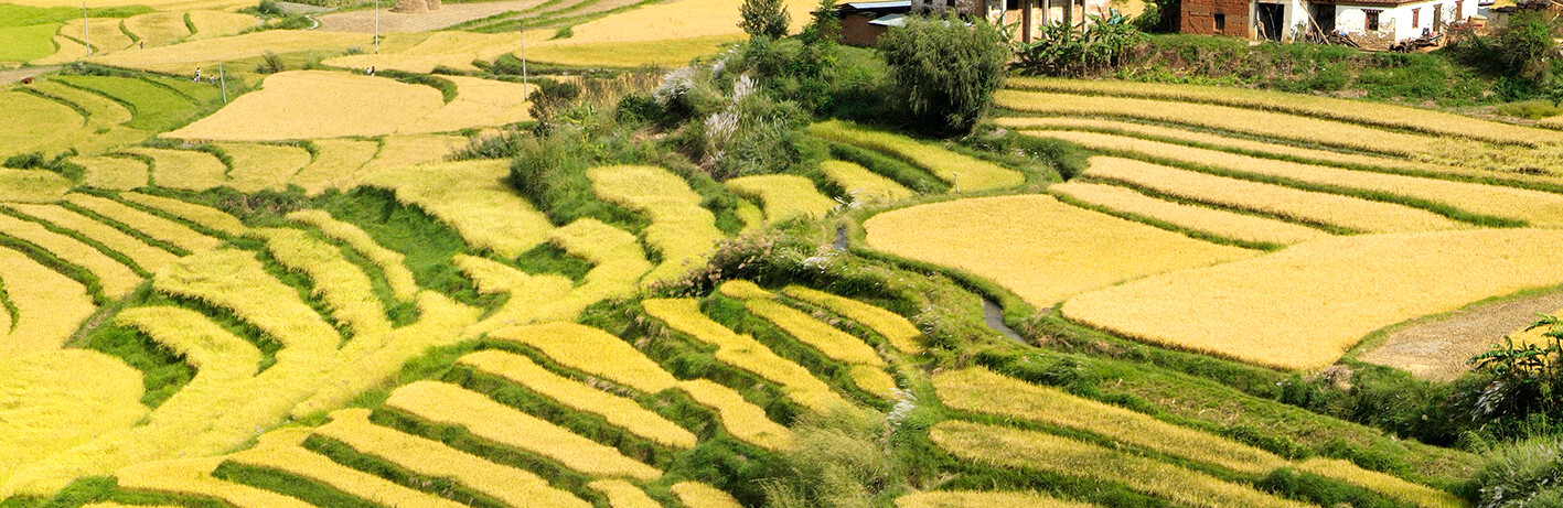 Punakha