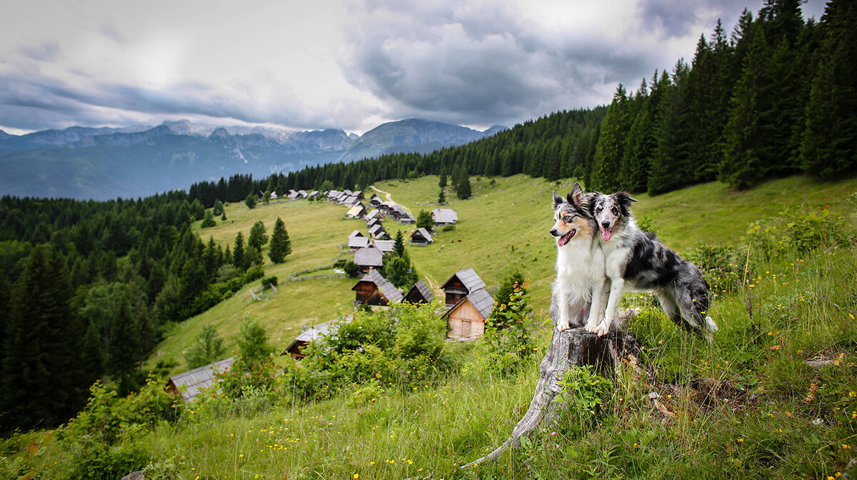 Velika planina, putovanje iz kolekcije Upoznajmo Sloveniju, garantirani polasci