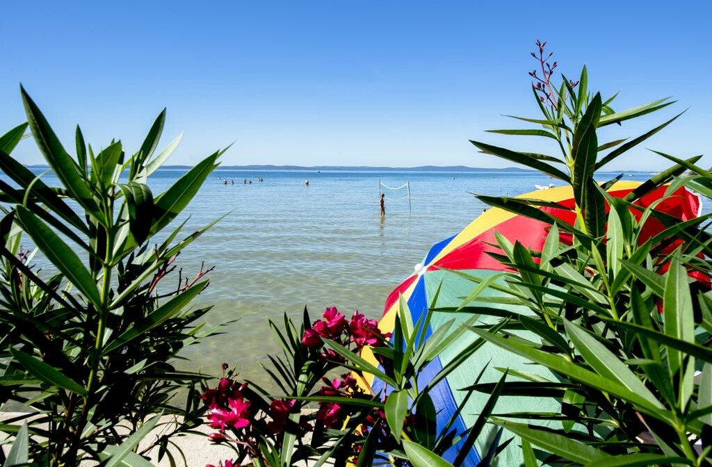 Hotel Laguna, Privlaka5