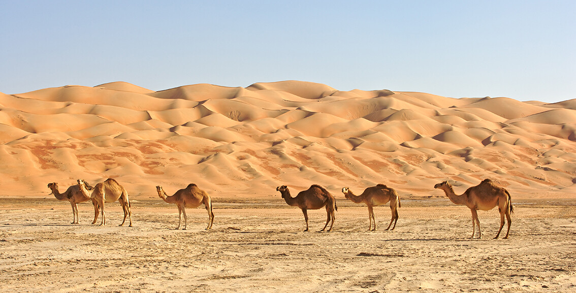 Oman putovanje, mondo travel, daleka putovanja, garantirani polazak