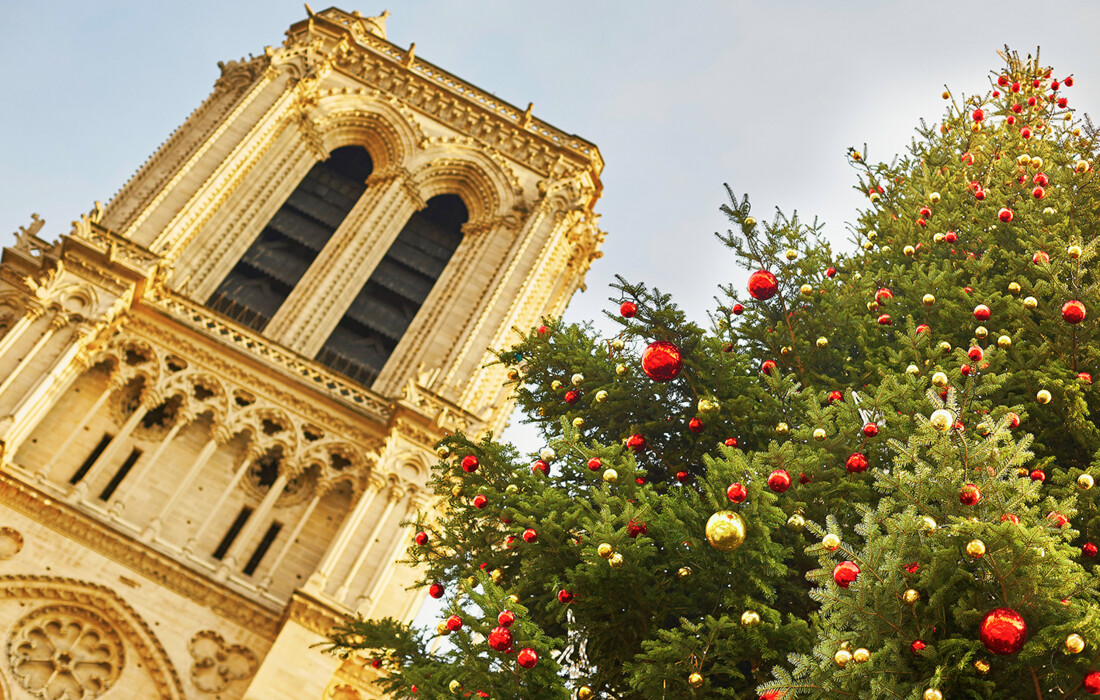 Okićeni bor ispred crkve Notre Dame  u Parizu, advent u Parizu