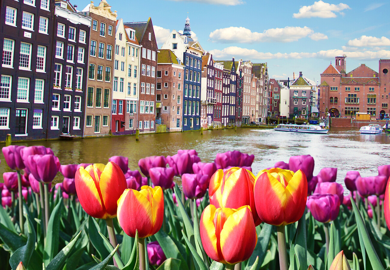 Tulipani i pročelja starih zgrada uz kanal, putovanje u Amsterdam