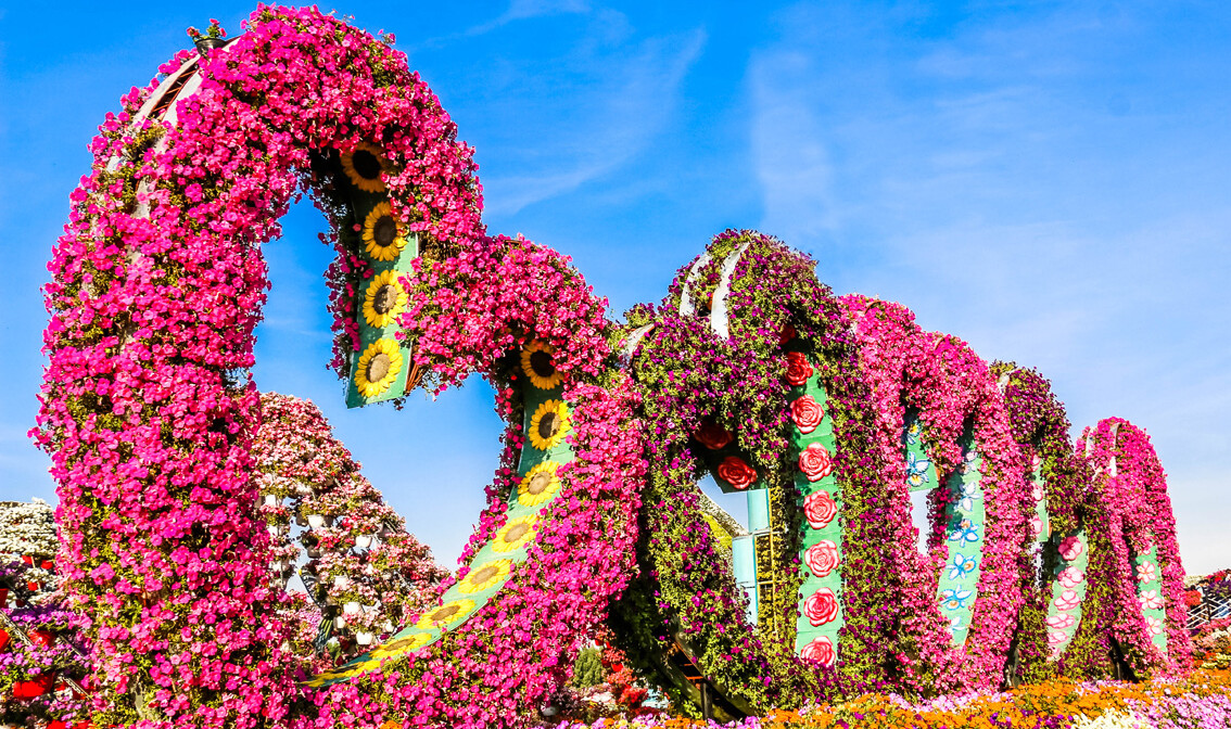 Dubai Miracle Garden