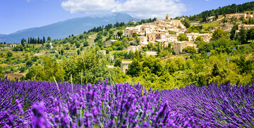 Provansa, polja lavande, putovanje autobusom