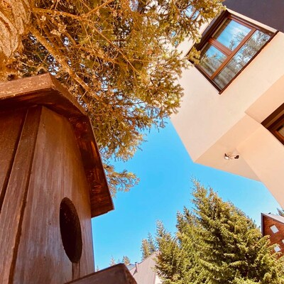 Jahorina, Apartmani Gorstak, kućica za ptice