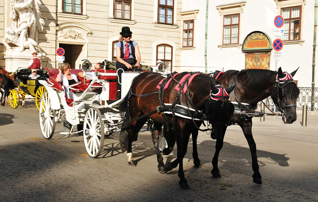 Kočija u Beču, putovanje Mondo travel