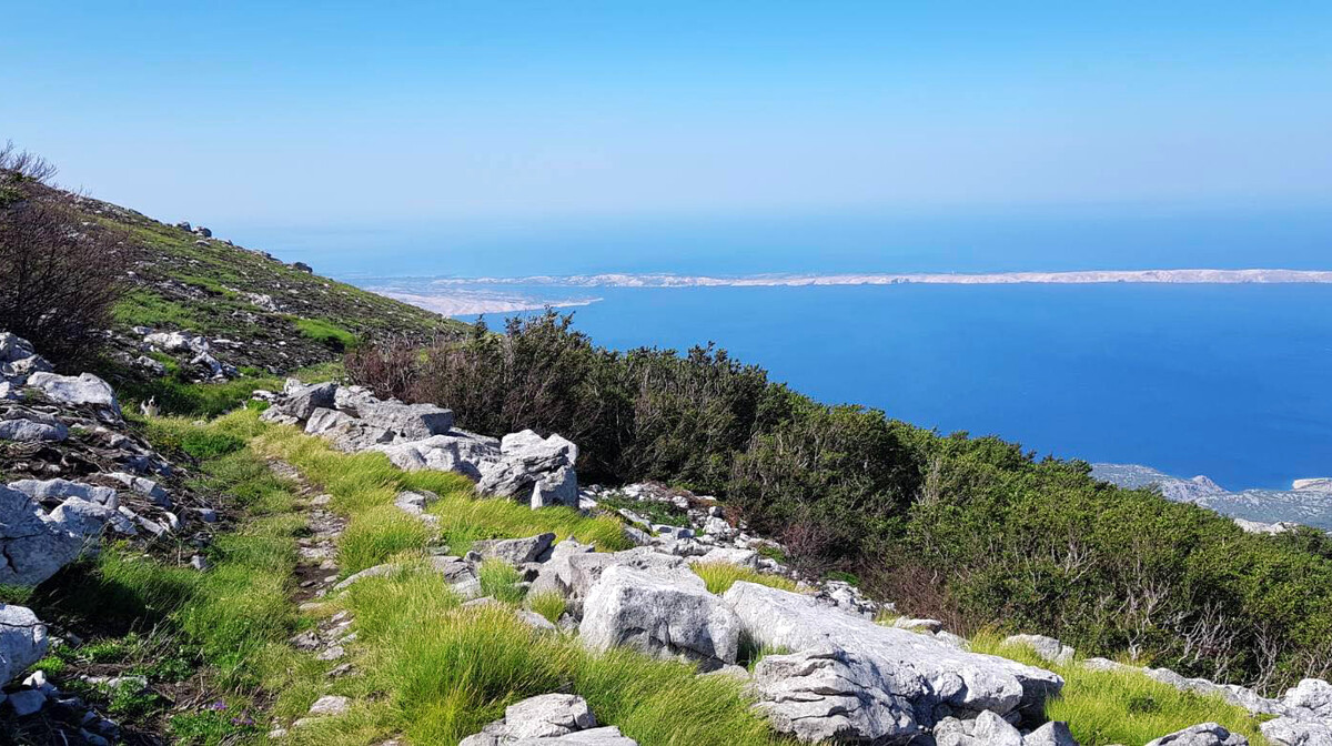 Velebit, Premužićeva starza