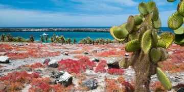 Putovanje Galapagos, garantirani polasci, mondo travel