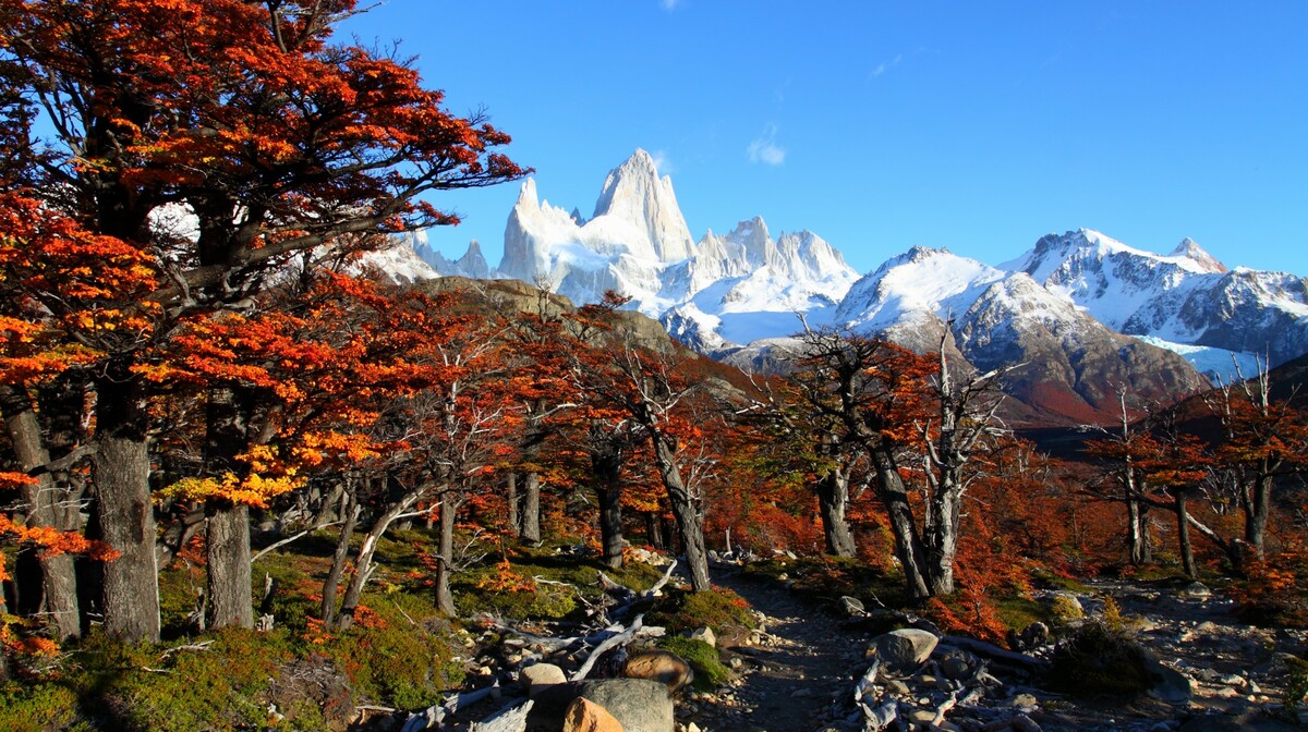 Patagonija