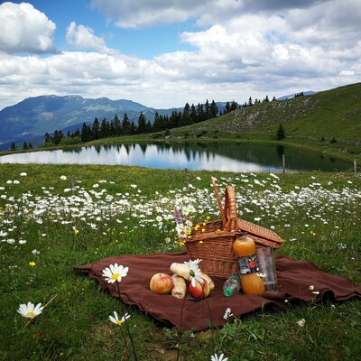 Golte wellness, slovenija