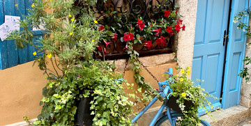 Rovinj, ulica Grisia, mondo travel , garantirani polasci