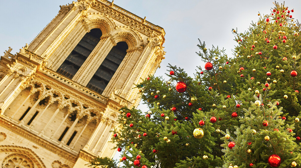 Okićeni bor ispred crkve Notre Dame  u Parizu, advent u Parizu