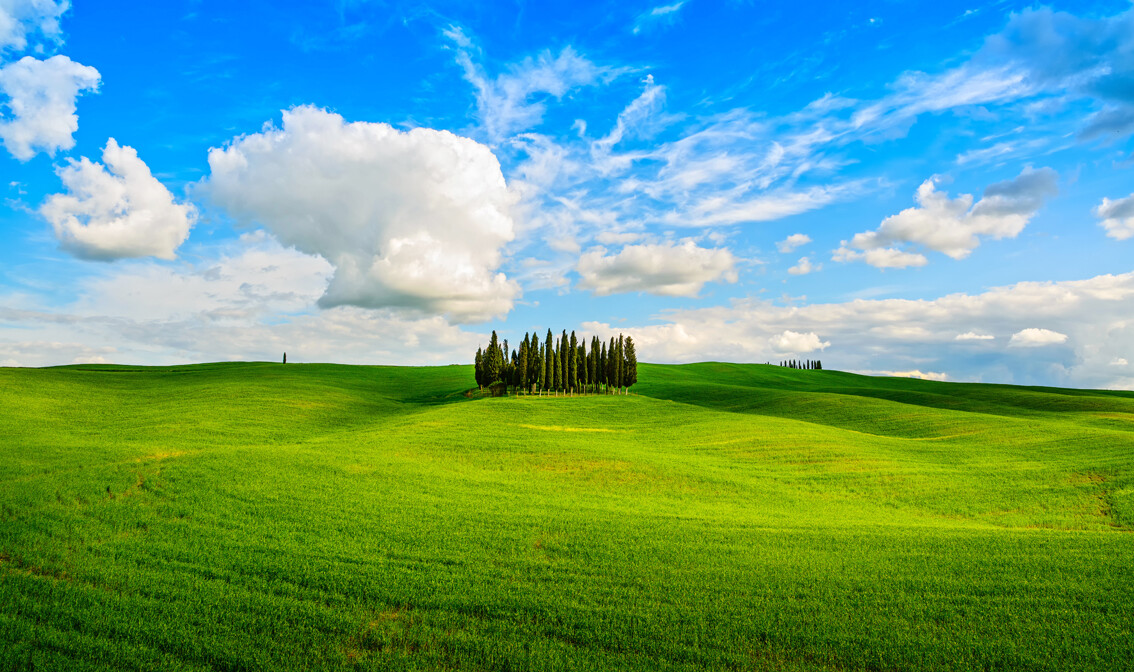 Toskana, Orcija, San Quirico