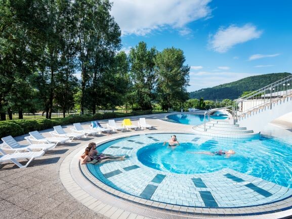 Terme Čatež, Hotel Terme