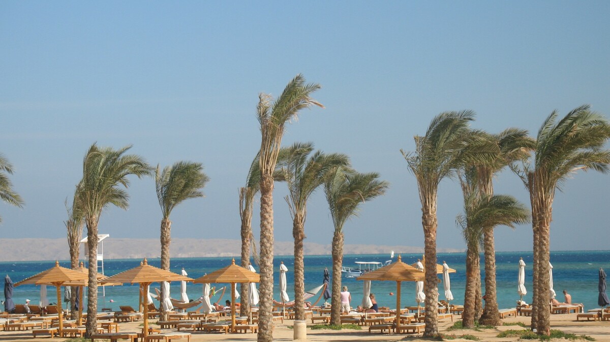 Hurgada, Hotel Steigenberger Al Dau Beach resort