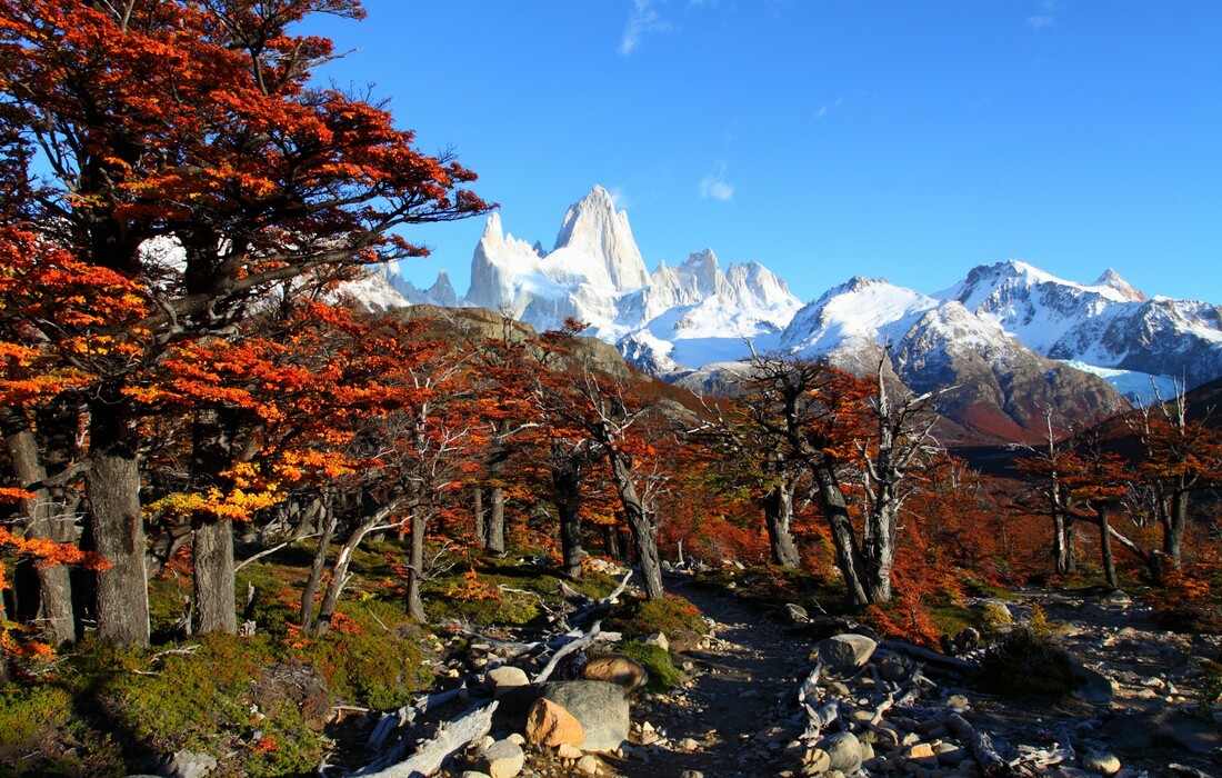 Patagonija