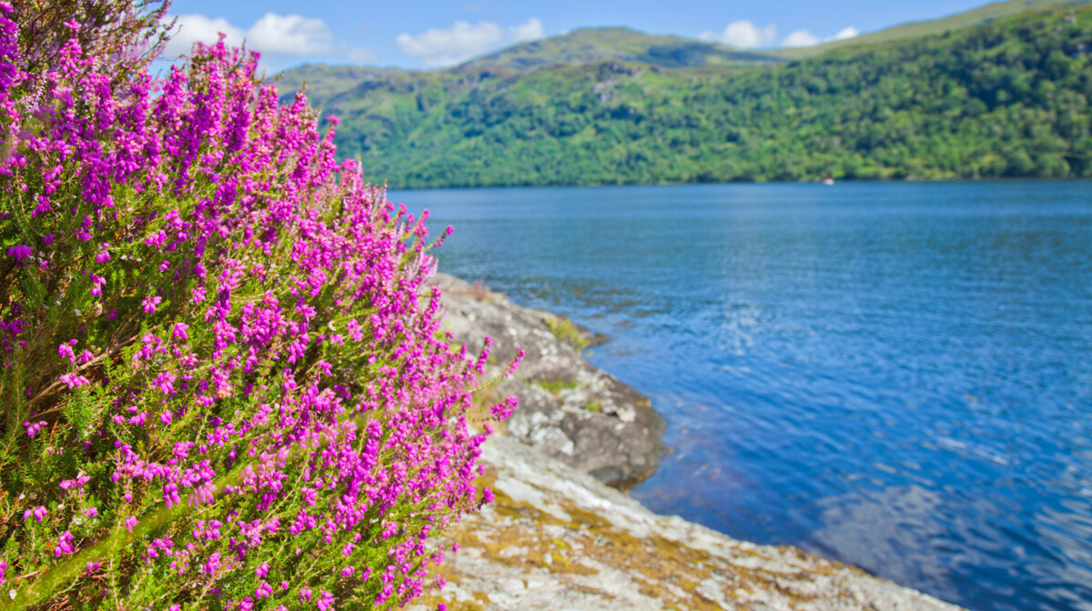Škotska - Loch Lomond