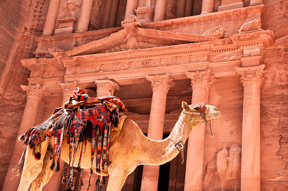 Petra, Al-Khazneh, putovanje Jordan i Izrael, grupna putovanja, daleka putovanja, deva