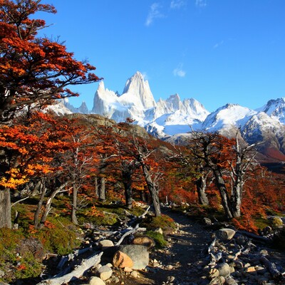 Patagonija